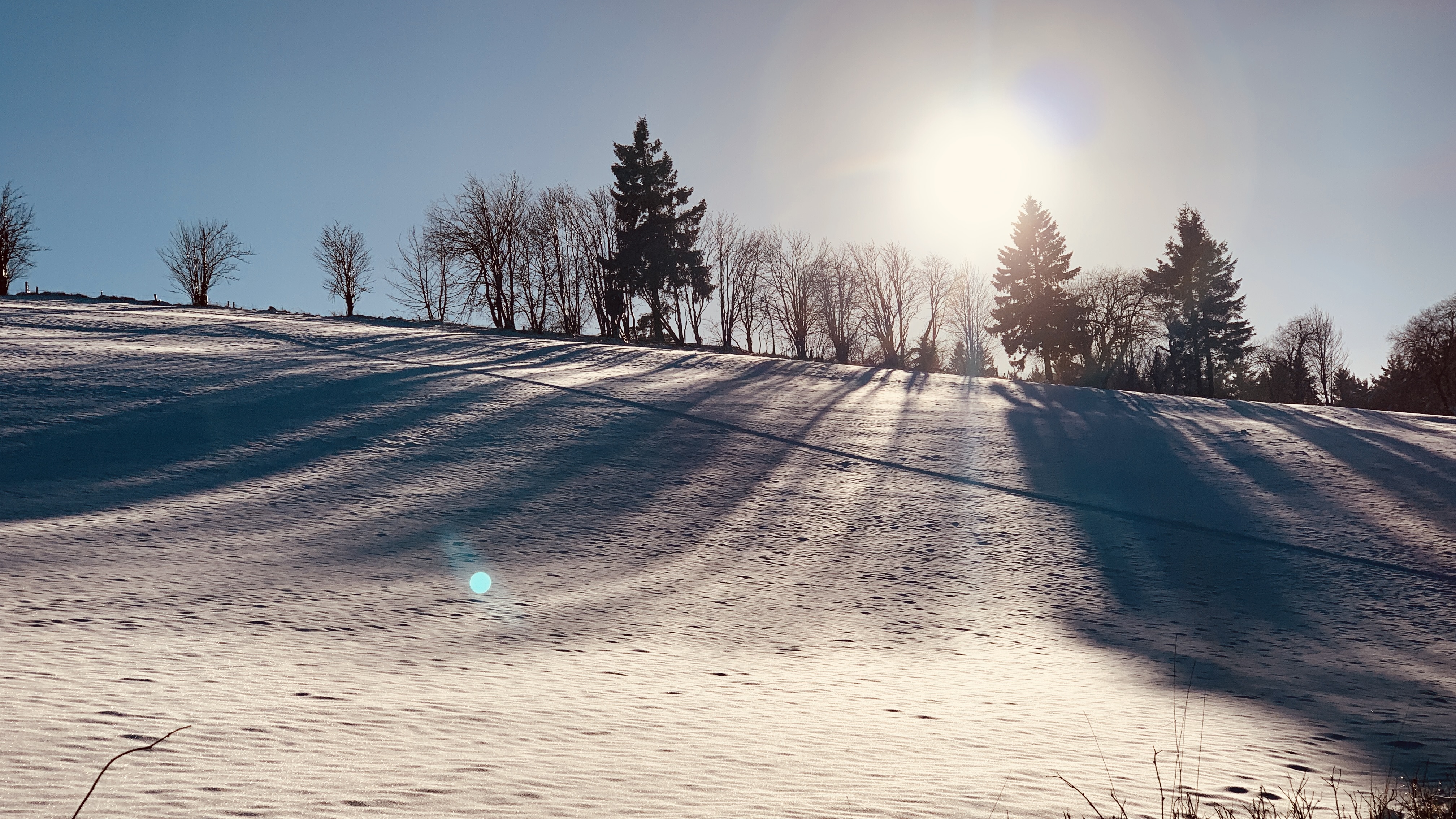 WINTER 5
